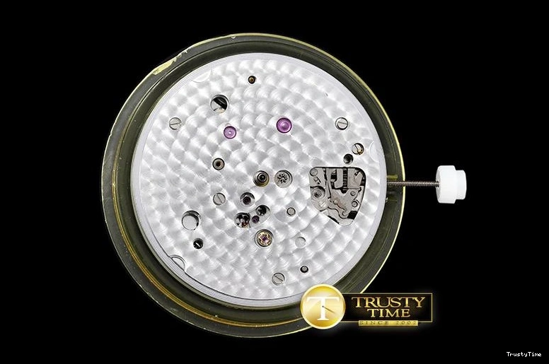 0815 ROLCEL074E – Cellini Supportive 883